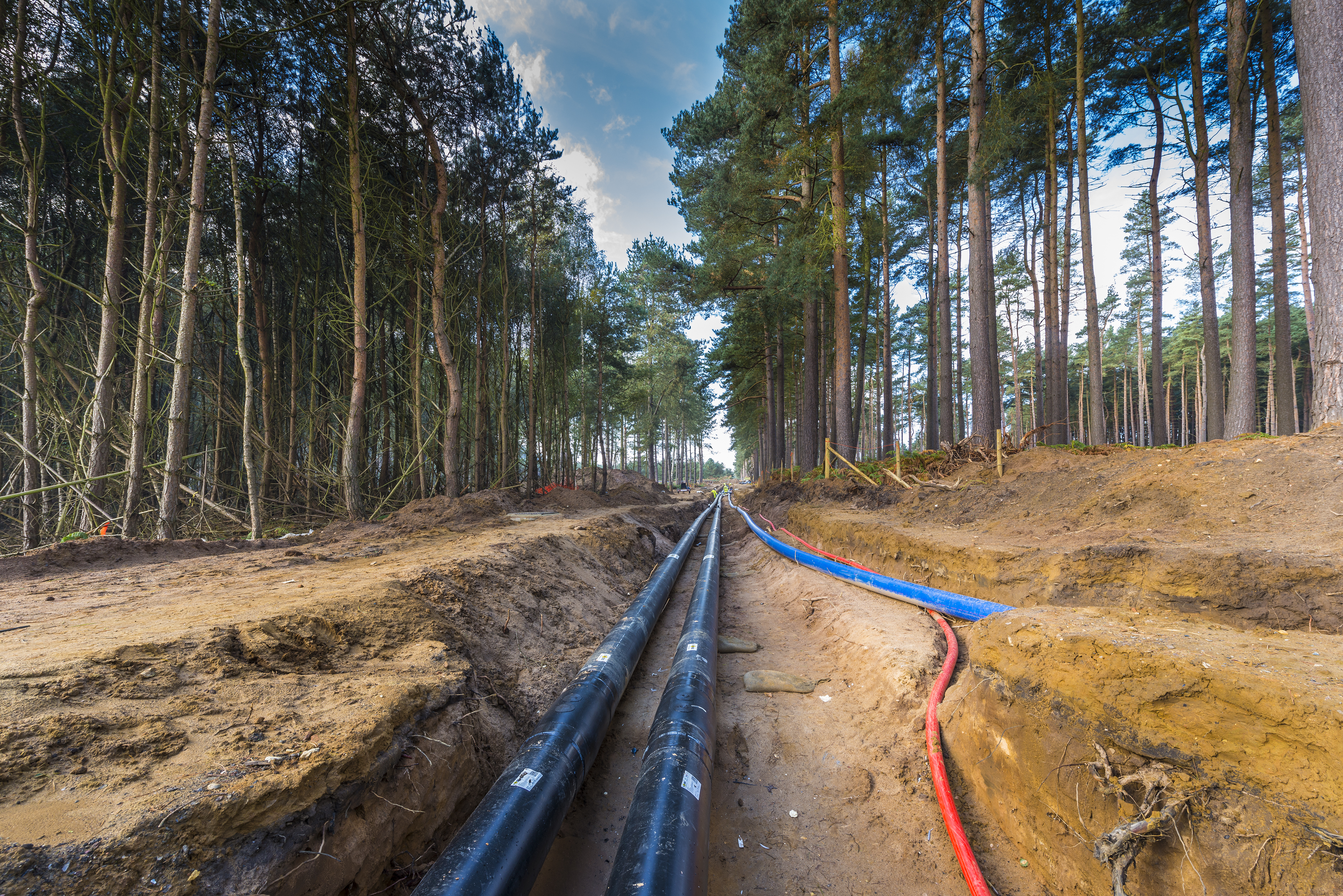 heat network pipes exposed in the ground. Trees at sides